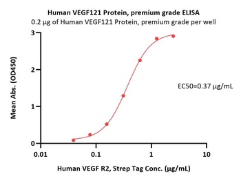 Human VEGF121 Protein