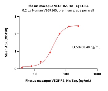 Rhesus macaque VEGF R2 / KDR Protein