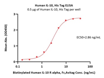 Human IL-10 Protein