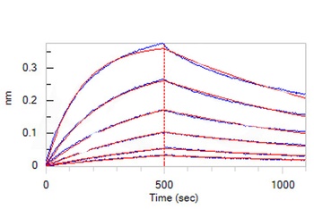 Human IL-17F (H161R) Protein