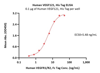 Human VEGF121 Protein