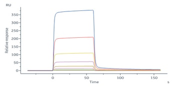 Human IGFBP-7 Protein, His Tag