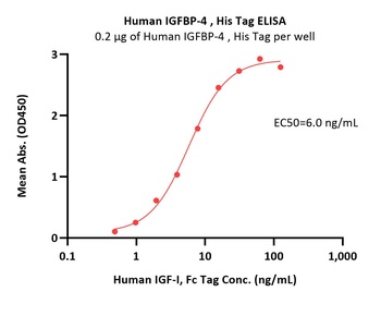 Human IGFBP-4 Protein