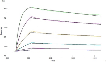 Human TNF-alpha Protein