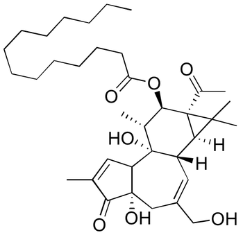 4-α-Phorbol-12-myristate-13-acetate