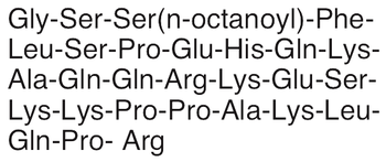 Ghrelin, rat