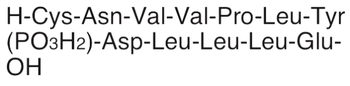 Antiestrogen Peptide