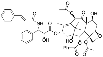 N-Cinnamoyl-N-debenzoyl Paclitaxel