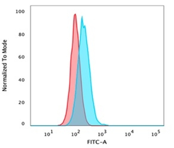 Recombinant p40 (Squamous, Basal & Myoepithelial Cell Marker) Antibody