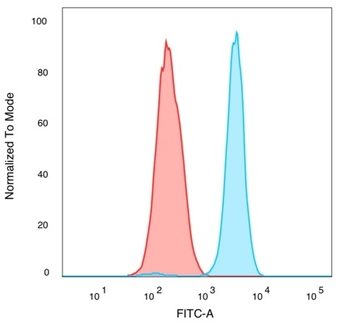 QKI / Protein Quaking Antibody