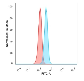 FOXQ1 Antibody