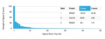 MED22 (Transcription Factor) Antibody