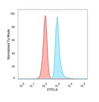 MED22 (Transcription Factor) Antibody