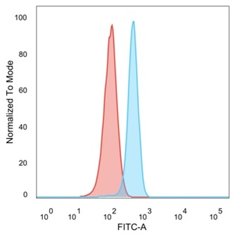 RXRG / NR2B3 (Transcription Factor) Antibody