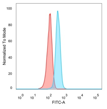 ZNF704 / Zinc finger protein 704 Antibody