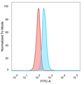 MAPK1 / ERK2 (Transcription Factor) Antibody