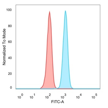 ZNF562 (Transcription Regulator) Antibody