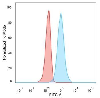 ZNF562 (Transcription Regulator) Antibody