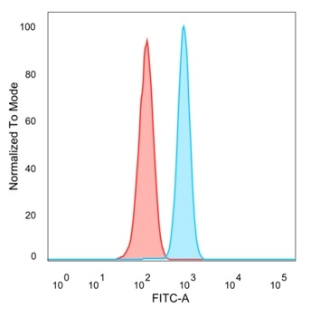 PMS1 Antibody