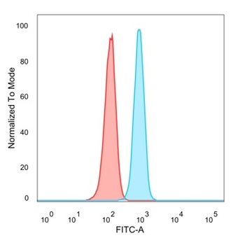 BCL11A / CTIP1 (Transcription Factor) Antibody
