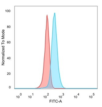 PHF10 (Transcription Factor) Antibody