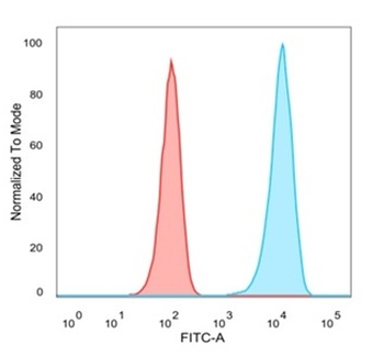 Lactotransferrin / Lactoferrin / LTF Antibody