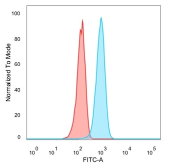 Interleukin-7 (IL-7) Antibody