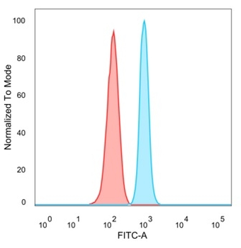 ZNF81 / Zinc finger protein 81 (Transcription Factor) Antibody