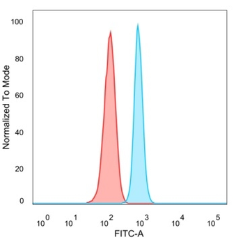 ZNF81 / Zinc finger protein 81 (Transcription Factor) Antibody