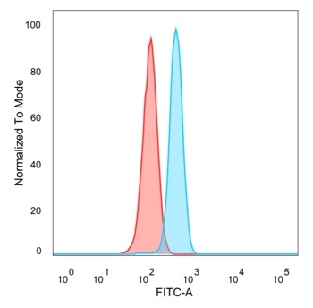 GTF2B/ TFIIB (Transcription Factor 2B) Antibody
