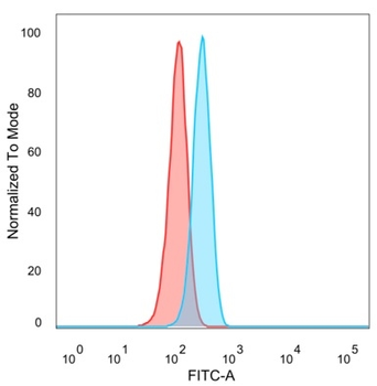 GTF2A1 Antibody