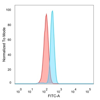 CCR4-NOT transcription complex, subunit 10 (CNOT10) Antibody