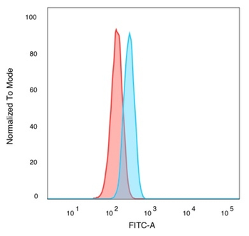 BCL6 Antibody