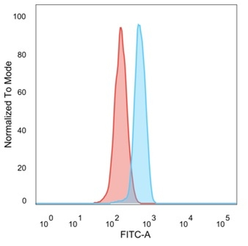 DCP2 (Decapping mRNA 2) Antibody