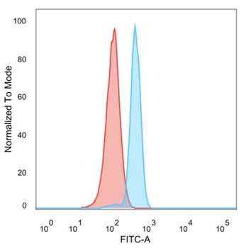 KLF17/ ZNF393 Antibody