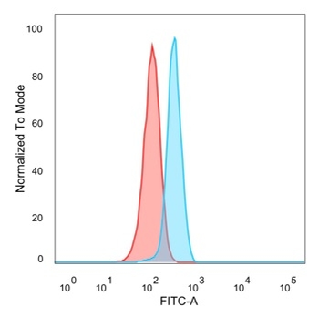 Superoxide Dismutase 1 (SOD1) (Antioxidant Enzyme) Antibody