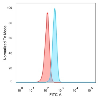 FOXL1 / Forkhead Box Protein L1 (Transcription Factor) Antibody