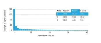 Apolipoprotein D / APO-D Antibody