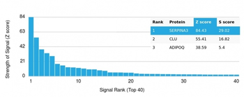 Alpha-1-Antichymotrypsin (SERPINA3) (Histiocytoma Marker) Antibody