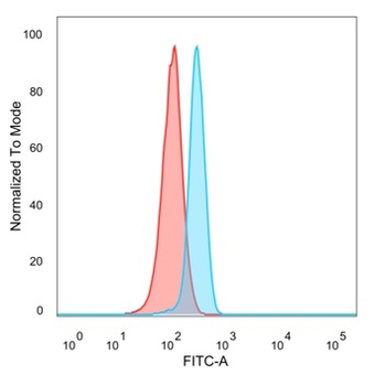 NEUROD2 (Neurogenic Differentiation 2) (Transcription Factor) Antibody