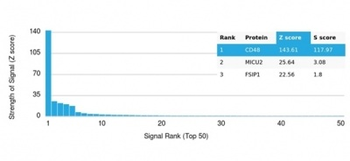 CD48 (Pan Leukocyte Marker) Antibody