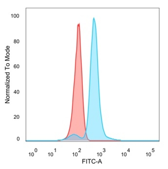 POLE3 / CHRAC17 Antibody