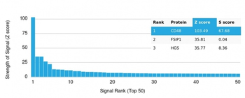 CD48 (Pan Leukocyte Marker) Antibody
