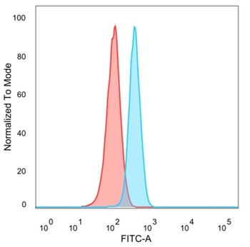 E2F6 Antibody