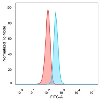 CBFB / PEBP2β Antibody
