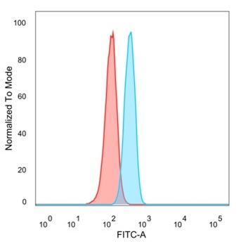 BCL2-like 2 (BCL2L2) / BCL-W Antibody