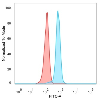 ID1 (Inhibitor of DNA-binding) (Transcription Factor) Antibody