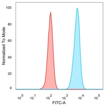 PBX1 / PRL (Transcription Factor) Antibody