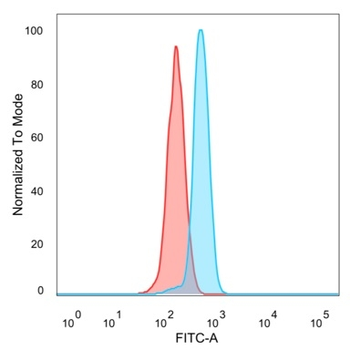SMAD9 Antibody