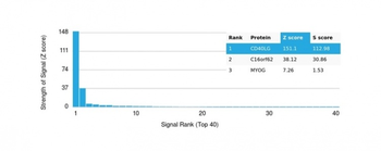 CD40 Ligand / CD154 / TRAP1 (Activation Marker of T-Lymphocytes) Antibody